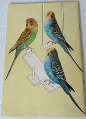 1953 EVERYTHING ABOUT PARAKEETS BUDGIES HARTZ MANUAL HEALTH TRAINING TALKING USA