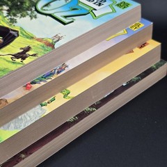 The Magical World of Oz by L. Frank Baum 4 Book Box Set Del Rey Paperback