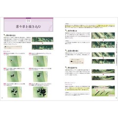 BackgMaru Drawing Class 2023 No. Anyone Can Draw Great Pictures Tankobon Japan