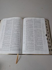 Holy Bible Scofield Study KJV Red Letter 2003 Indexed Oxford Burgundy Nice!