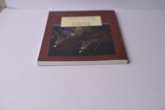 The Royal Priesthood: Book One (Volume 1) J Preston Eby Softcover 210 pages