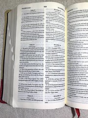 Russian/English Parallel Bible, Tan Cherry, ImitationLeather,Synodal/King James