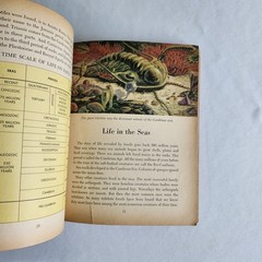 Golden Books Prehistoric Animals: Dinosaurs and Other Reptiles and Mammals 1958