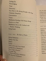 Wherever You Go There You Are Mindfulness Meditation by Jon Kabat-Zinn PB 1994