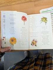 DK Eyewitness Garden Handbooks Perennials David Joyce Deni Bown HC Illus