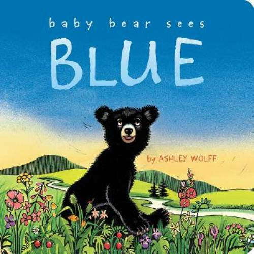 Baby Bear Sees Blue – Board book By Wolff, Ashley – GOOD