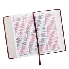 The Holy Bible King James Version Giant Print Tan/Brown / Jesus words in red