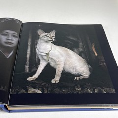 Vavras Cats Robert Vavra Photography Signed 1986 1st Ed Hardcover DJ
