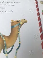 The Little Christmas Tree Susanna Ronchi Illustrated Book Winter Story Children