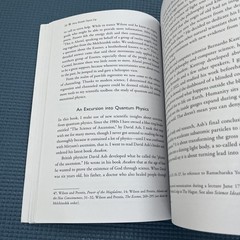 Magdalene’s Ascension : Mary’s Journey to Becoming Light by Annine van der Meer
