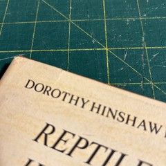 Reptiles and How They Reproduce HCDJ Dorothy Hinshaw Patent First Edition 1977