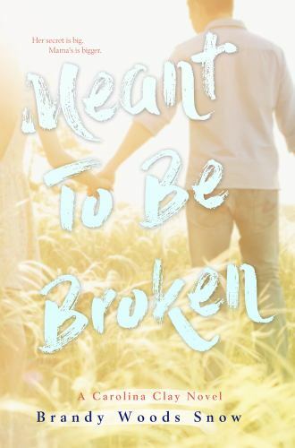 Meant to Be Broken by Woods Snow, Brandy