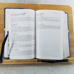 Women’s Devotional Bible by Zondervan Staff (2012, Blue Leather, Special)