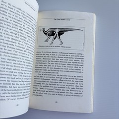 Digging Dinosaurs : The Search That Unraveled the Mystery of Baby Dinosaurs