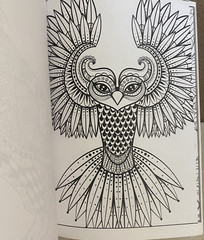 Bendon Adult Coloring Book Coloring Birds 14 Tear and Share Pages NEW