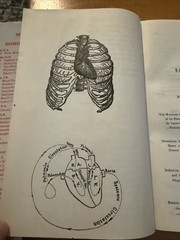Lectures on Diseases of the Heart by Edwin M Hale MD B Jain HBDJ 1995 Homeopathy