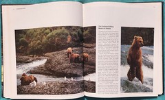 Wild Alaska The American Wilderness 1982 Time-Life Hardcover 184 Pages