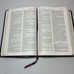 The Jack Van Impe Prophecy Bible, KJV Red Letter Limited Special Edition Leather