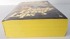 Lovely Lying Lips by Valerie Sherwood ~ Warner Books 1st Ed 1983