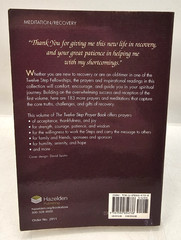 The 12 Step Prayer Book Vol 2 Prayers 184-366 Bill P Lisa D Pocket Paperback