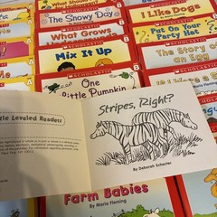 Little Leveled Readers by Scholastic Kids Books Lot Of 100+ Plz Read