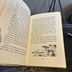 Tomas and the talking birds by Ruth Nulton Moore, 1979, Herald Press Puerto Rico
