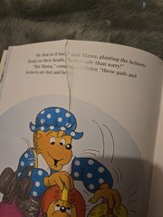 The Berenstain Bears 17 Book Lot Total Huge Lot Bundle
