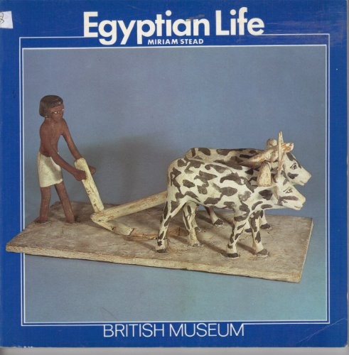 Egyptian Life (Introductory Guides) by Stead, Miriam Paperback Book The Fast