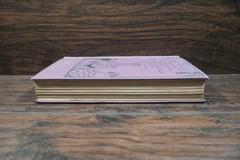 1920s The Twelve Dancing Princesses & other Fairy Tales by Arthur Quiller-Couch