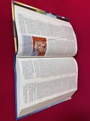 NIRV, ADVENTURES IN ODYSSEY BIBLE By Gary Locke & Sergio Cariello – Hardcover
