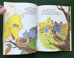 Sesame Street Look What I Found PBS CTW 1981 muppets Henson Golden Books