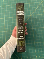 Plentiful Country : The Great Potato Famine and the Making of Irish New York HC