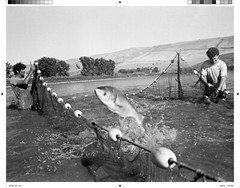 Stephen Shames – Water Zine – 28 pages – 5.5 x 8.5 inches