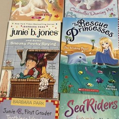 Lot Of 13 Chapter Books Girls Interest Grades 1st-3rd Ages 6-9 J