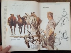 The Farm Book by Rien Poortvliet 1980 – 216 Color Illustrations –HC w/DJ VG Cond