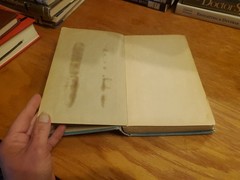 Dream Psychology by Sigmund Freud 1921 HC