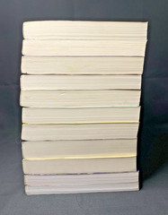 Thomas Merton Annual Lot 11 Vols 11 13 21 23 25 26 28 31 33 35 Centenary 1998-22