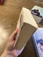 Neapolitan Novels 1-4 FULL SET, by Elena Ferrante Europa Editions