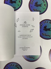 The Shadow Work Journal: A Guide to Integrate and Transcend (New) Work Book