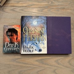 Mixed Lot 21 Christine Feehan Books Novels Carpathian Drake Sea Haven Shadow Rid