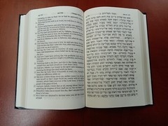 Hebrew-English New Covenant Prophecy Edition Hardback Gilded Edges