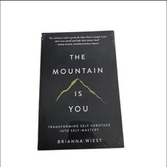 The Mountain Is You: Transforming Self-Sabotage into Self-Mastery English Books