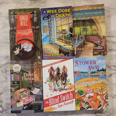 Large Lot of 42 COZY MYSTERY~Mixed Authors~Various Themes~WOMEN SLUETHS~