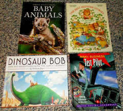 Wonderful Lot of 11 Pre-owned Children’s Books – Mixed Reading Levels (Lot N)