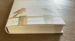 The Correspondent by Virginia Evans Hardcover Contemporary Fiction Novel US