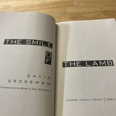 Smile of The Lamb by David Grossman (1991 Hardcover) 1st Edition Dust Jacket VG