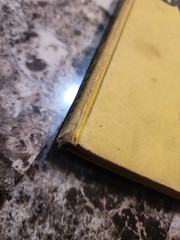 Still More Boners The Viking Press 1931 First Edition