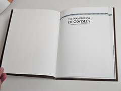 The Wanderings of Odysseus: THE STORY OF THE ODYSSEY Hardcover DUST JACKET 1996