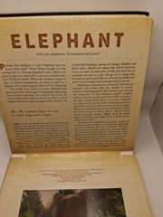 Safari: A Photicular Book
