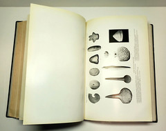 American Indian Ethnology Twenty Fifth 25th Annual Report 1903-1904